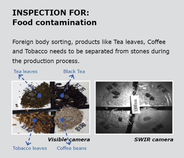 Food contamination.jpg